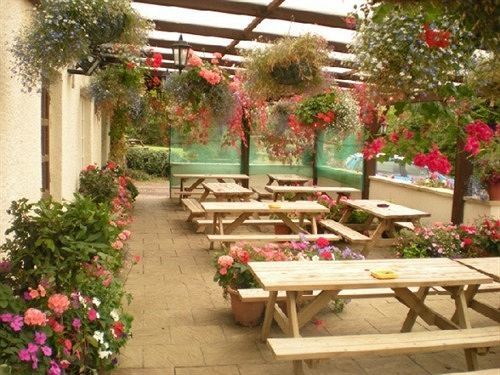 The Flying Fish Stables Ilminster Exterior foto