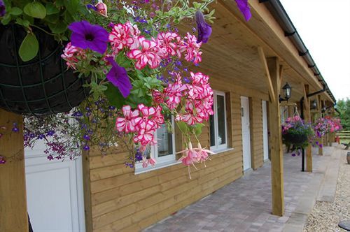 The Flying Fish Stables Ilminster Exterior foto